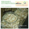 Jq Jinxiang Nitrogen Filled Peeled Garlic